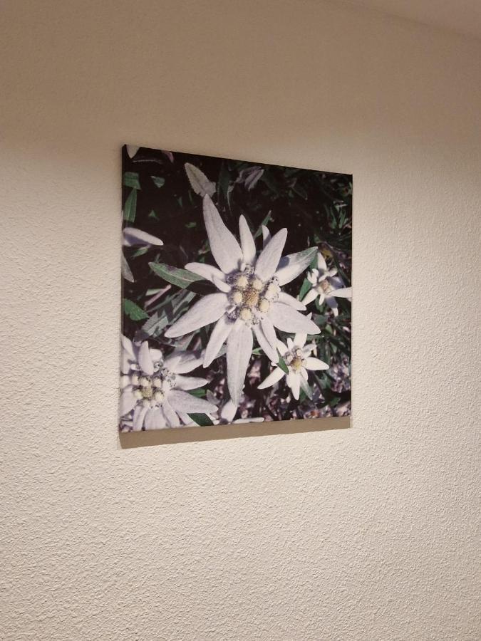 Flor De Nieve Leilighet Jaca Eksteriør bilde